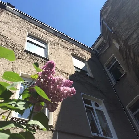 Rohan's Apartment